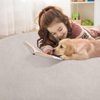 Modern Fluffy Large Rugs Living Room