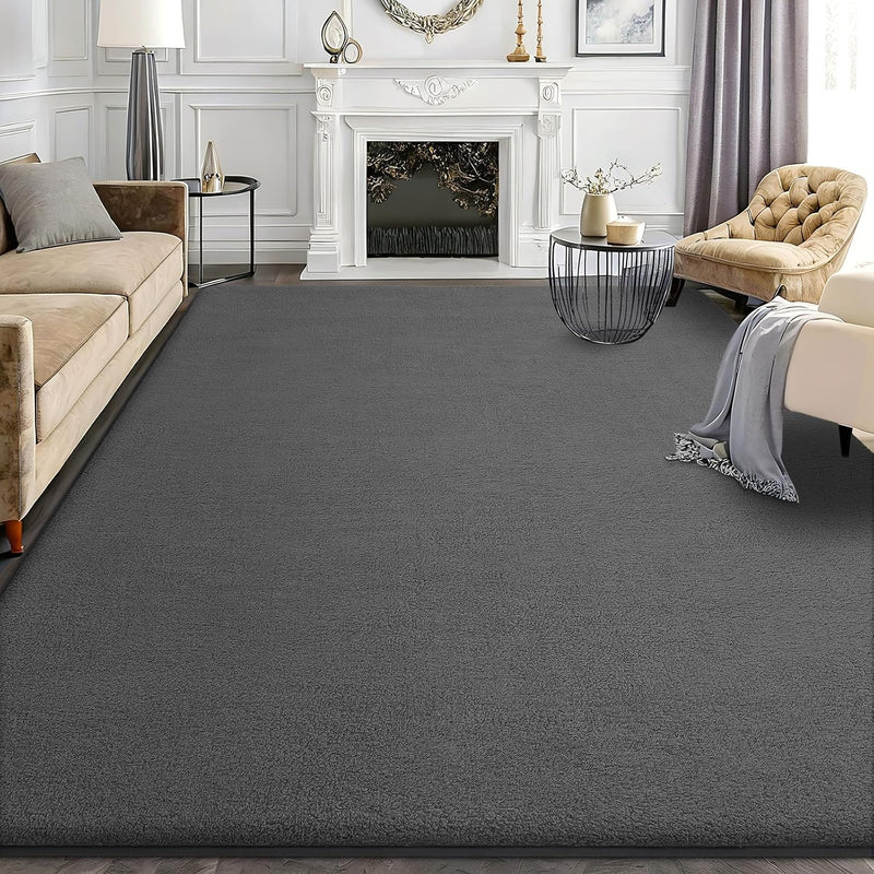 Modern Fluffy Large Rugs Living Room