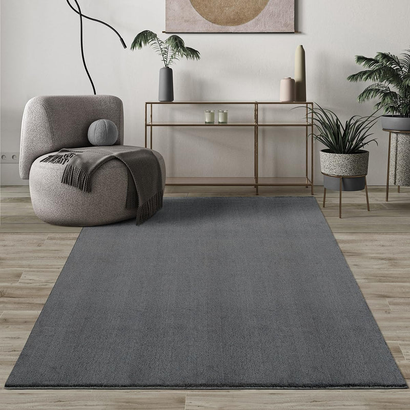 Modern Fluffy Short-Pile Carpet Anti-Slip Backing Washable Up