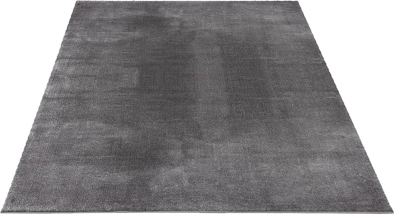 Modern Fluffy Short-Pile Carpet Anti-Slip Backing Washable Up