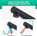 Modern Kitchen Sink Mixer Tap with Pull Out