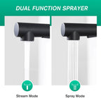 Modern Kitchen Sink Mixer Tap with Pull Out