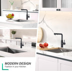 Modern Kitchen Sink Mixer Tap with Pull Out