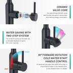 Modern Kitchen Sink Mixer Tap with Pull Out