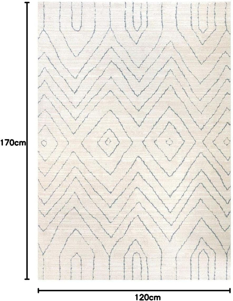 Modern Large Soft Tribal Berber Moroccan Lounge Living