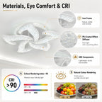 Modern LED Ceiling Light Dimmable 65W Lamp