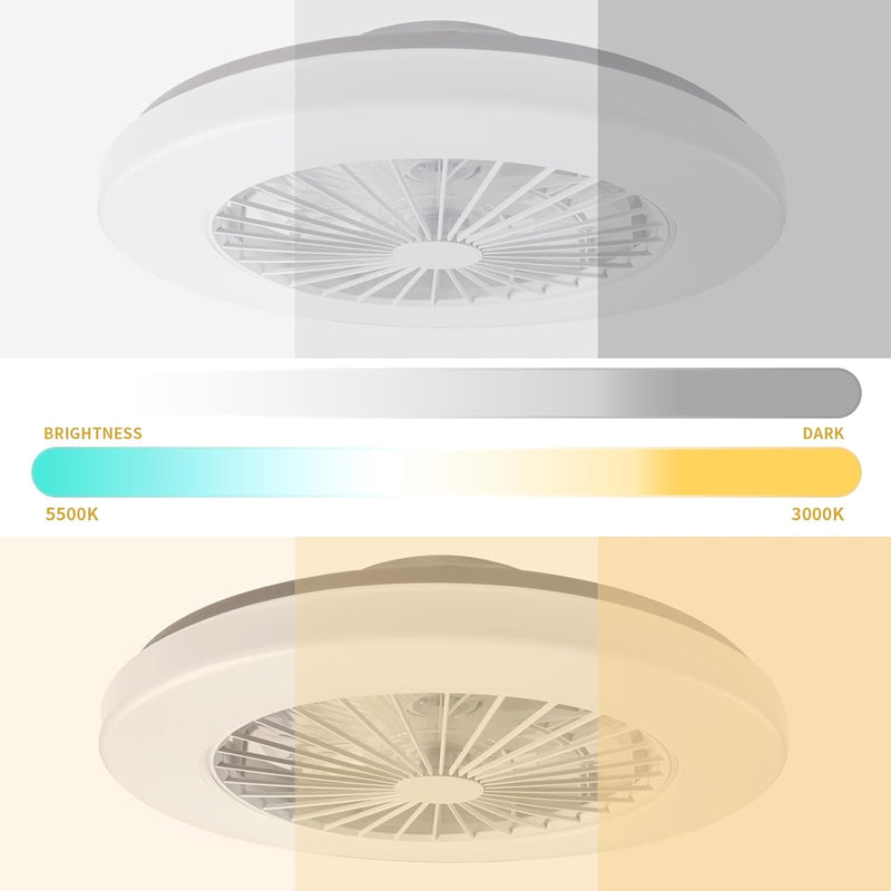 Modern LED Ceiling Light with Fan RGB Lights