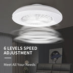 Modern LED Ceiling Light with Fan RGB Lights
