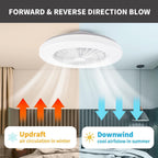Modern LED Ceiling Light with Fan RGB Lights