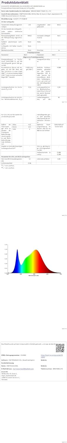Modern LED Ceiling Light with Fan RGB Lights