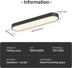 Linear Ceiling Light 40W Modern LED Close