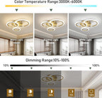 Modern LED Dimmable Ceiling Light 3 Circle Lights