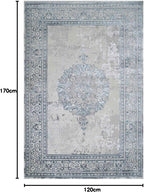 Modern Medallion Style Metallic Big Area Rug Plush