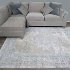Modern Medallion Style Metallic Big Area Rug Plush
