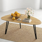 Modern Oval Coffee Table Oak Simple Centre Scandinavian