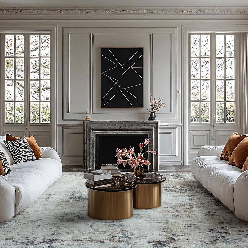 Modern Soft Area Rugs Abstract Distressed Living Room