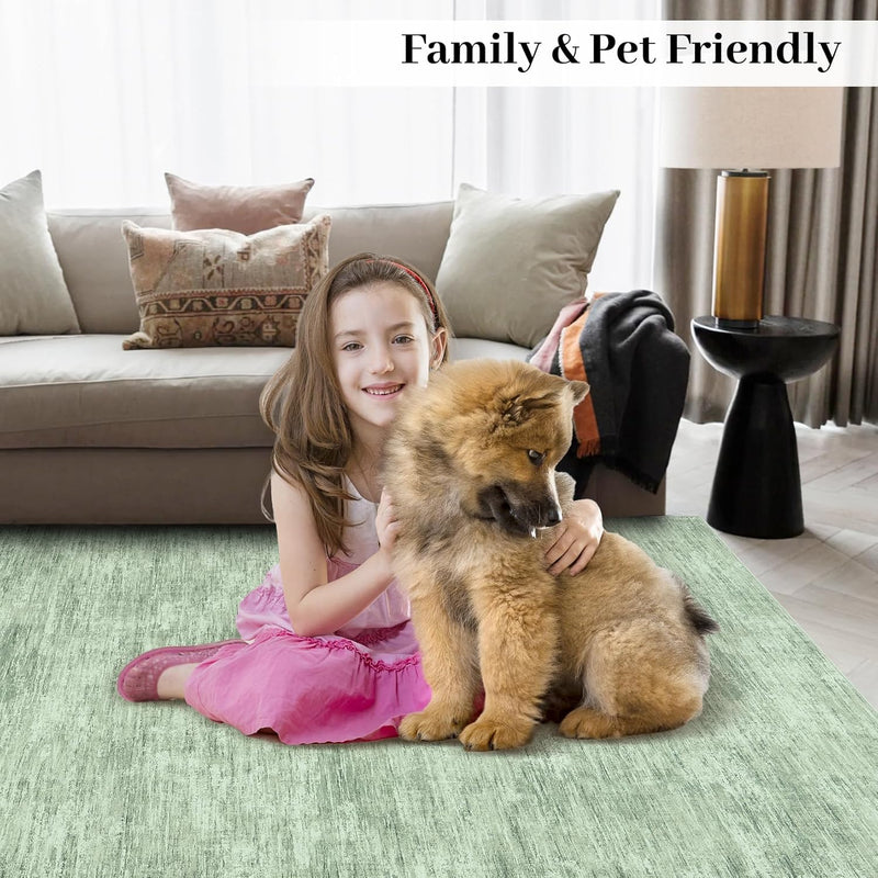 Modern Solid Rug Living Room Washable