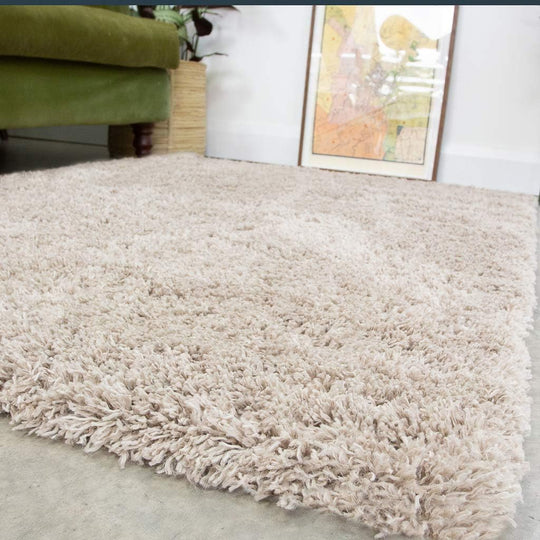 Modern Thick Shaggy Area Rug