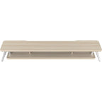 Monitor Stand Riser for Laptop PC TV Desk