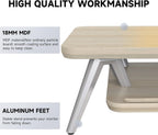 Monitor Stand Riser for Laptop PC TV Desk