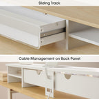 Monitor Stand with Drawers Blind Box Storage Space