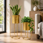 Morden Metal Craft Planters with Stand (Set of 2)
