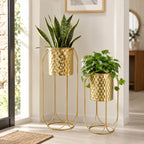 Morden Metal Craft Planters with Stand (Set of 2)