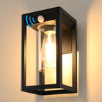 Motion Sensor