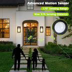 Motion Sensor