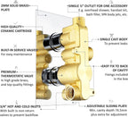 Naples Concealed Thermostatic Shower Mixer Valve Twin
