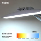 Neatfi Xl Lumens 24W LED Desk Lamp