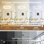 Niorsun Ceiling Fans with Lights and Remote