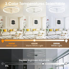 Niorsun Ceiling Fans with Lights and Remote