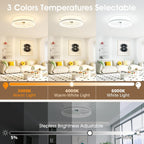 Ceiling Fans with Lights and Remote Modern