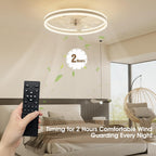 Niorsun Ceiling Fans with Lights and Remote