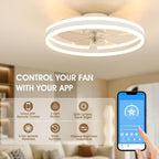 Niorsun Ceiling Fans with Lights and Remote