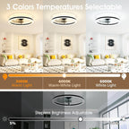Niorsun Ceiling Fans with Lights and Remote