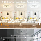 Niorsun Ceiling Fans with Lights and Remote