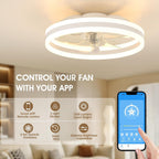 Niorsun Ceiling Fans with Lights and Remote