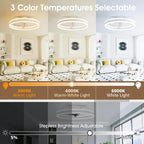 Niorsun Ceiling Fans with Lights and Remote