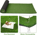 Nisorpa Artificial Grass Rug for Pets