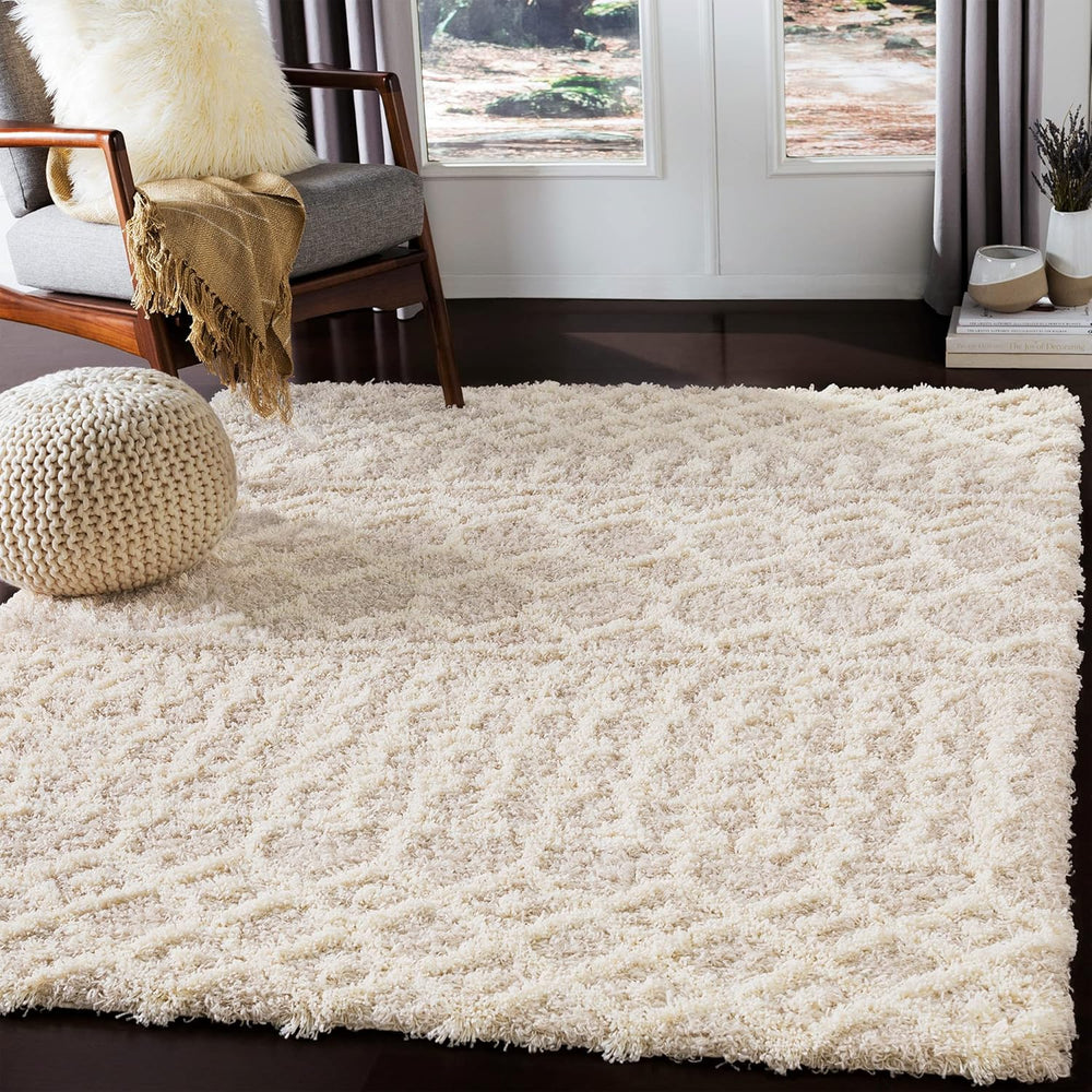 Shaggy Rug Modern Berber Rugs Living Room Large