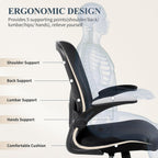 Office Chair Ergonomic Desk