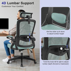 Office Chair Ergonomic with Lumbar Support Adjustable Armrests