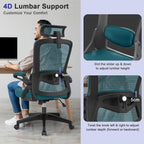 Office Chair Ergonomic with Lumbar Support Adjustable Armrests