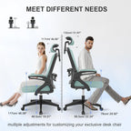 Office Chair Ergonomic with Lumbar Support Adjustable Armrests