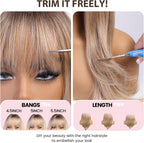 Ombre with Highlight Wavy Wigs for Women Long