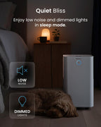 Omnidry 12L Day Dehumidifier with Automatic Humidity Sensor
