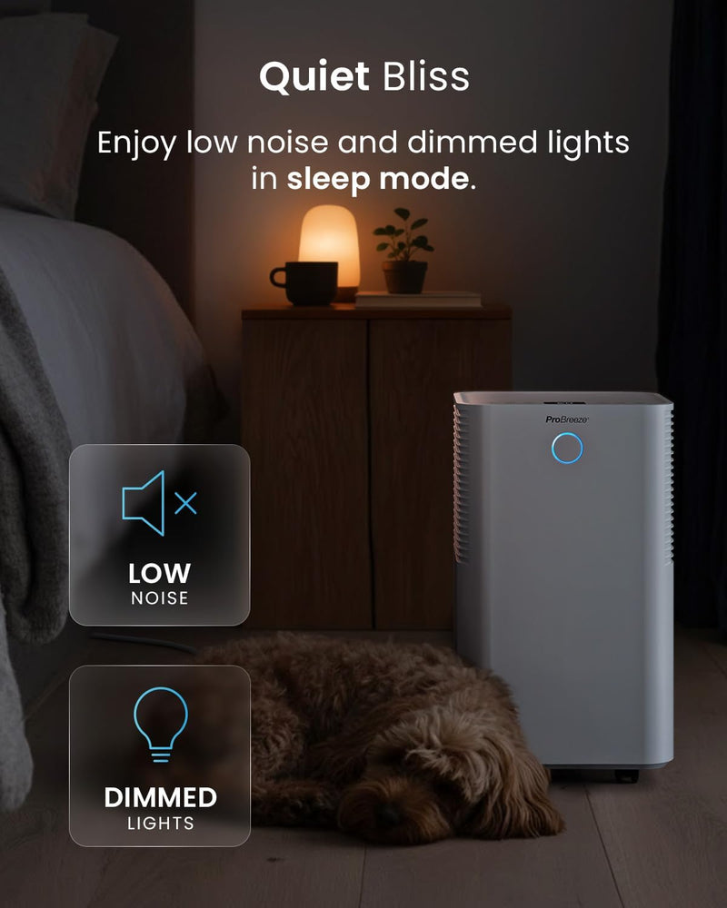 Omnidry 12L Day Dehumidifier with Automatic Humidity Sensor