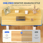 One Piece Electric Standing Desk Sit Stand Table